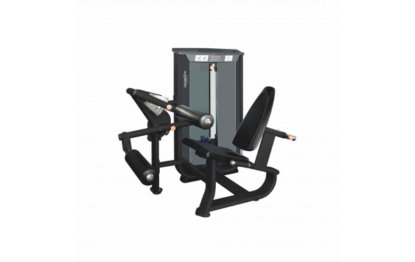 Сгибание ног UltraGym UG-CL505 600_380