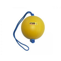 Функциональный мяч 6 кг Perform Better Extreme Converta-Ball 3209-06-6.0 желтый