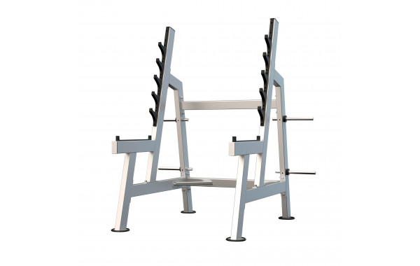 Стойка для приседаний с ограничителями (Squat Rack) DHZ U3050 600_380