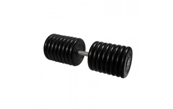 Гантель Профи с вращающейся ручкой, 81 кг MB Barbell MB-FdbM-B81 600_380