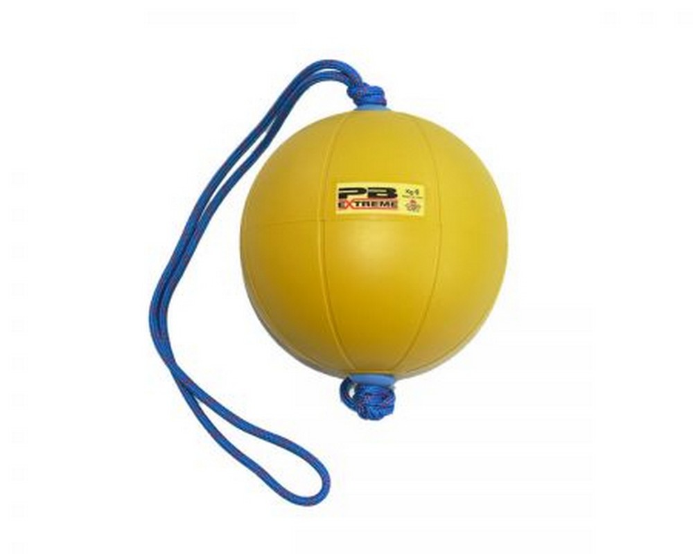 Функциональный мяч 1 кг Perform Better Extreme Converta-Ball 3209-01-1.0 желтый 1000_800