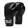 Перчатки тренировочные Everlast Spark 14oz черн/гео. 120_120