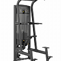 Подтягивание\Отжимание с помощью, стек 117,5кг Smith Fitness RE8008 120_120