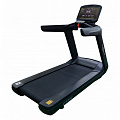 Беговая дорожка CardioPower Pro CT300 120_120