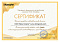 Сертификат на товар Будо-мат Kampfer №4